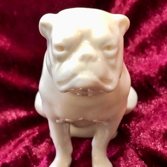 Crested Ware Bull Dog 5